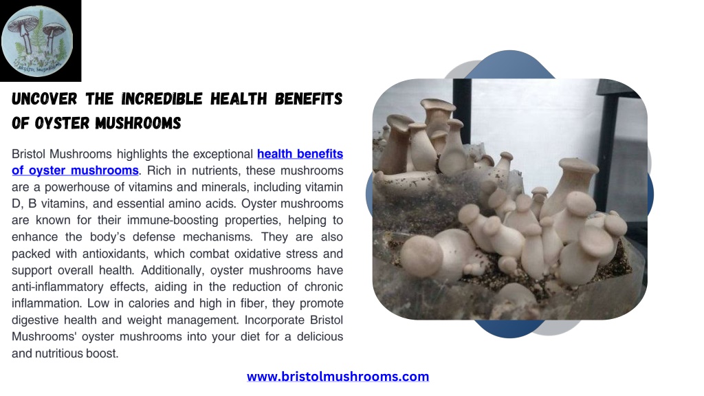 PPT - Uncover The Incredible Health Benefits of Oyster Mushrooms ...