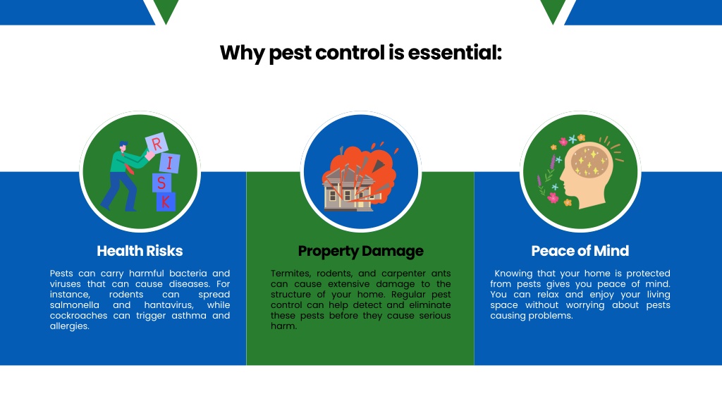 PPT - Top Pest Control Services in Boston PowerPoint Presentation, free ...