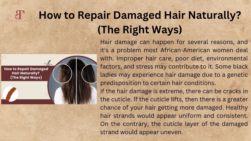 PPT - How to Repair Damaged Hair Naturally? (The Right Ways) PowerPoint ...