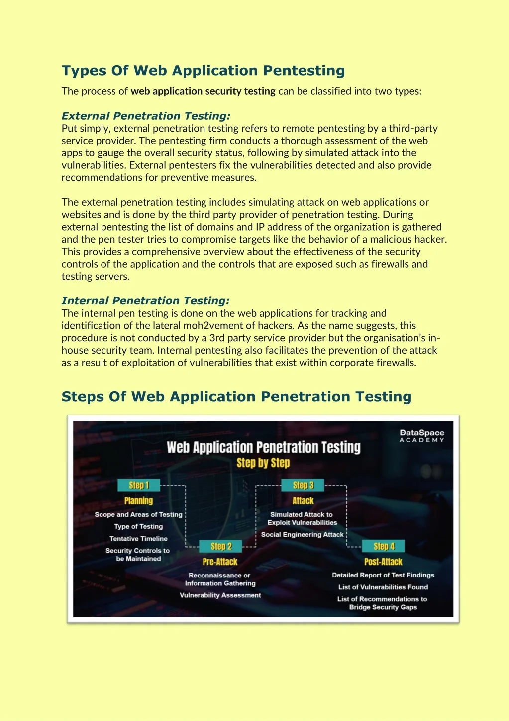 PPT - Web Application Penetration Testing - Types, Steps & Benefits ...