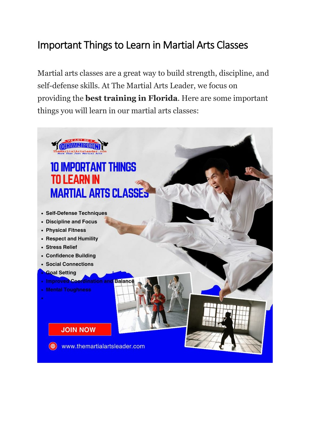 PPT - 10 Important Things to Learn in Martial Arts Classes PowerPoint ...