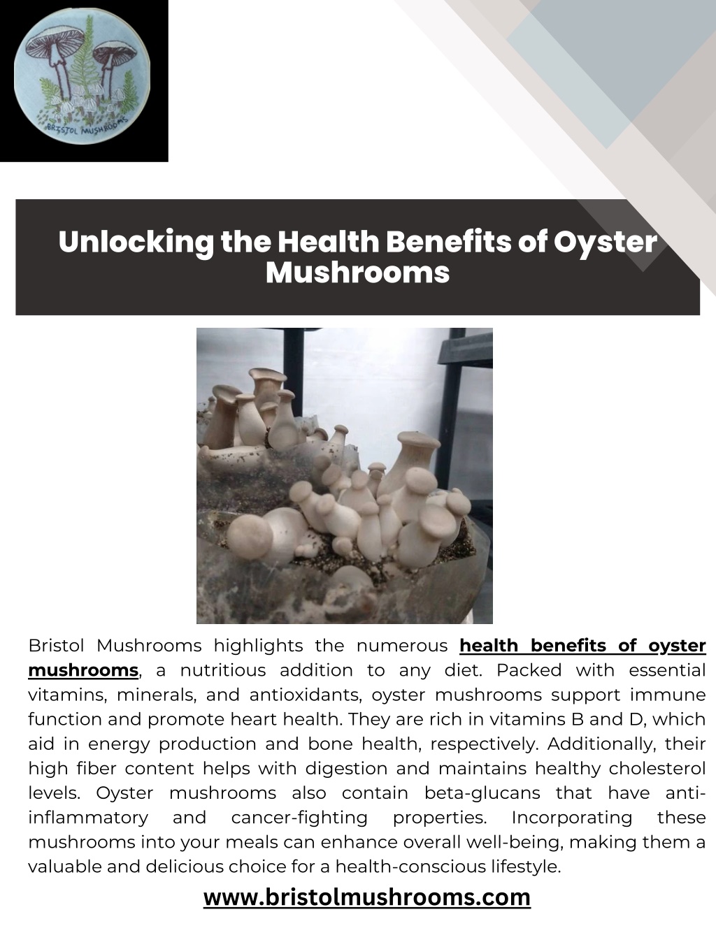 PPT - Unlocking the Health Benefits of Oyster Mushrooms PowerPoint ...