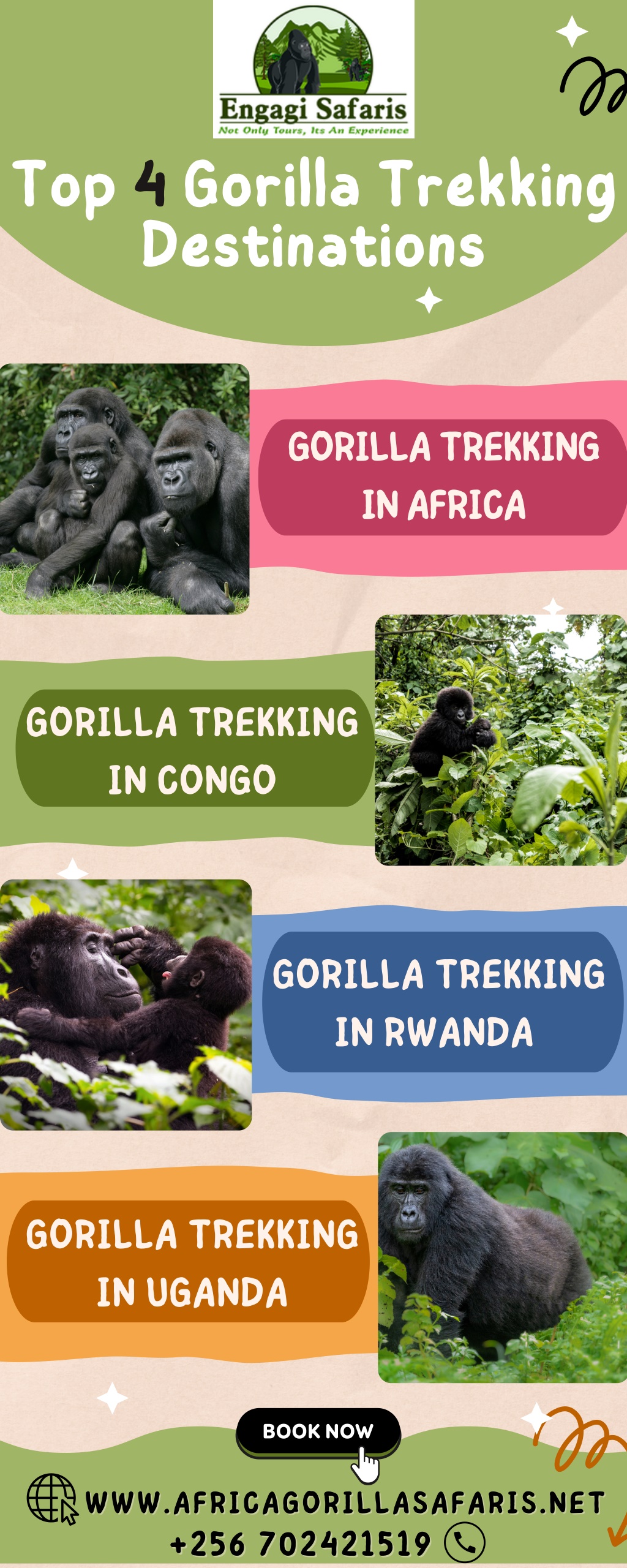 PPT - Top 4 Gorilla Trekking Destinations PowerPoint Presentation, free ...