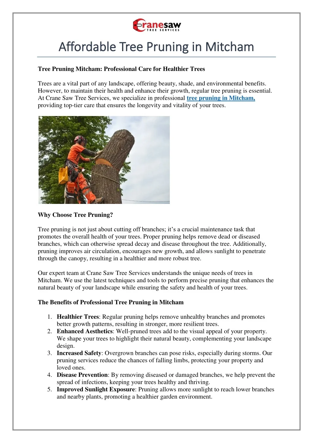 PPT - Affordable Tree Pruning in Mitcham PowerPoint Presentation, free ...
