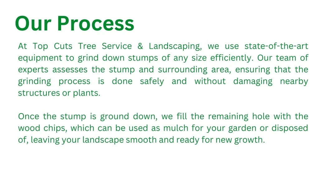 PPT - Tree Stump Grinding Service PowerPoint Presentation, free ...