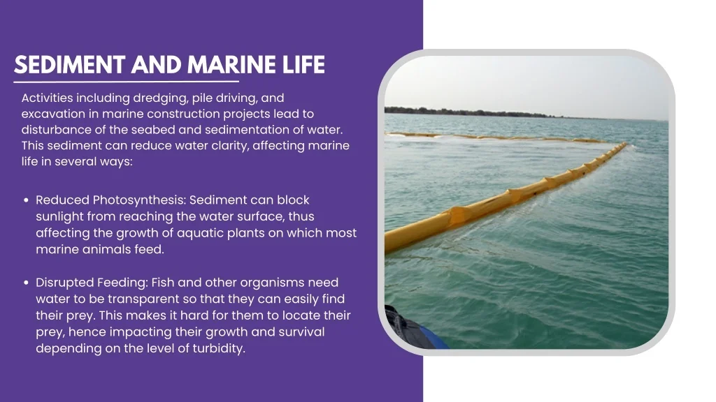 PPT - How a Marine Barrier Company Protects Coastal Environments The ...