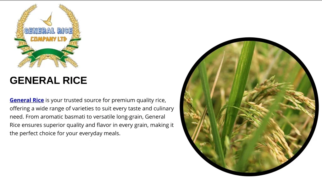 PPT - Fresh White Corn for Sale – Sweet and Crunchy PowerPoint ...